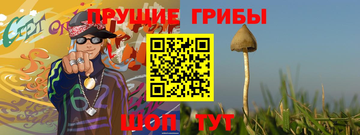 Рубцовск  Галлюциногенные грибы ЛСД  наркотики  Вход с VPN 