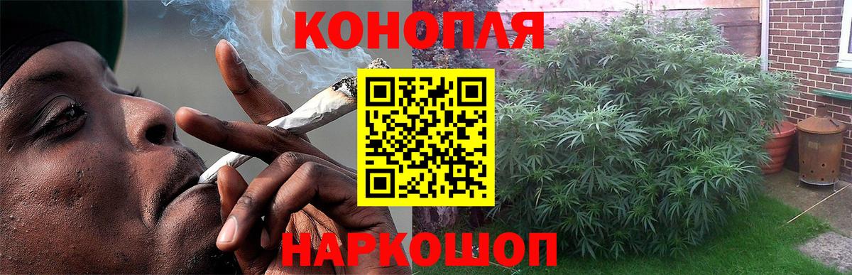 Конопля MAZAR  Бошки марихуана THC 21%  Вход с VPN  Марихуана SATIVA & INDICA  Марихуана тримм  Рубцовск 